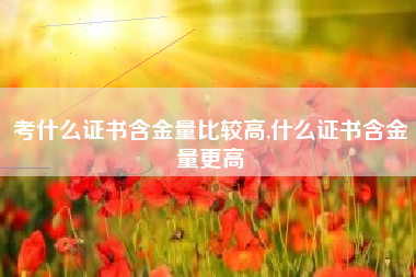 考什么证书含金量比较高,什么证书含金量更高