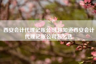 西安会计代理记账公司,你知道西安会计代理记账公司怎么选