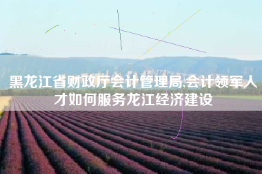 黑龙江省财政厅会计管理局,会计领军人才如何服务龙江经济建设