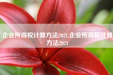企业所得税计算方法2021,企业所得税计算方法2021