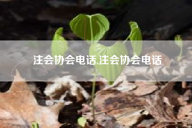 注会协会电话,注会协会电话