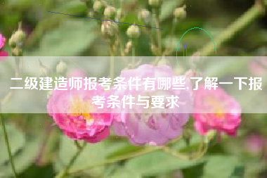 二级建造师报考条件有哪些,了解一下报考条件与要求