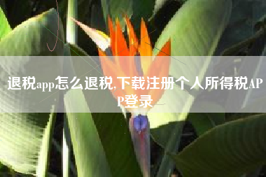 退税app怎么退税,下载注册个人所得税APP登录