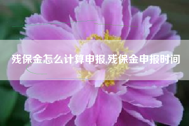 残保金怎么计算申报,残保金申报时间
