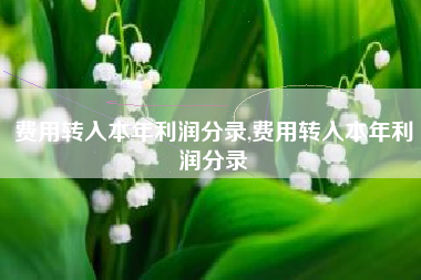 费用转入本年利润分录,费用转入本年利润分录
