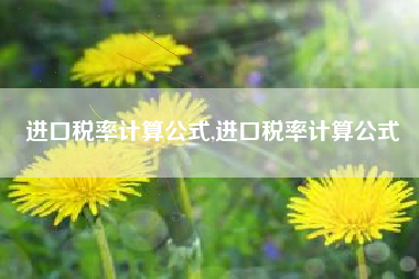 进口税率计算公式,进口税率计算公式
