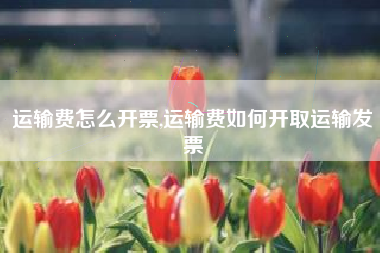 运输费怎么开票,运输费如何开取运输发票