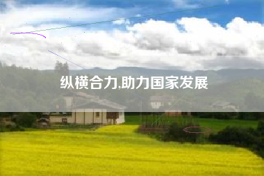 纵横合力,助力国家发展