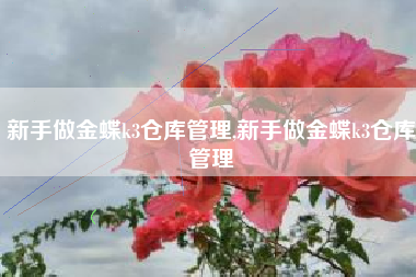 新手做金蝶k3仓库管理,新手做金蝶k3仓库管理