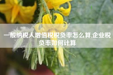 一般纳税人增值税税负率怎么算,企业税负率如何计算