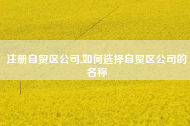 注册自贸区公司,如何选择自贸区公司的名称