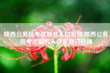 陕西公务员考试报名入口官网,陕西公务员考试报名入口官网已开通