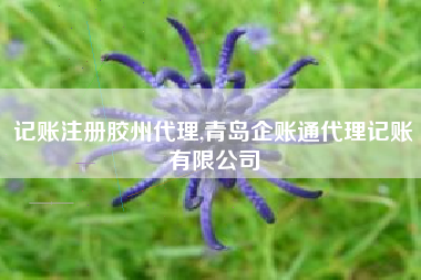 记账注册胶州代理,青岛企账通代理记账有限公司