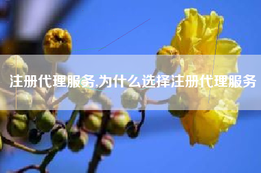 注册代理服务,为什么选择注册代理服务