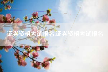 证券资格考试报名,证券资格考试报名