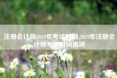注册会计师2019年考试时间,2019年注册会计师考试时间揭晓