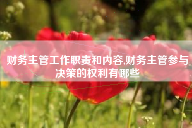 财务主管工作职责和内容,财务主管参与决策的权利有哪些