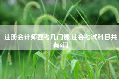 注册会计师要考几门课,注会考试科目共有6门