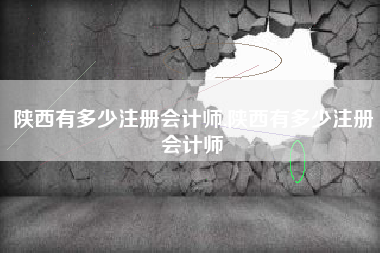 陕西有多少注册会计师,陕西有多少注册会计师