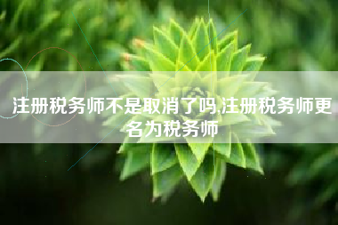 注册税务师不是取消了吗,注册税务师更名为税务师