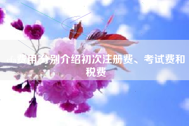cfa费用,分别介绍初次注册费、考试费和税费