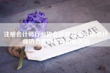 注册会计师行业协会官网,中国注册会计师协会官网倡导积极活动