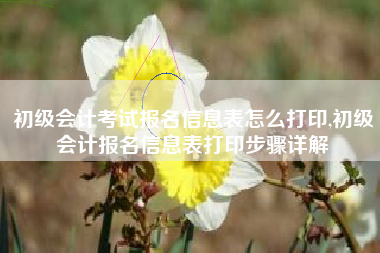 初级会计考试报名信息表怎么打印,初级会计报名信息表打印步骤详解