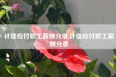 计提应付职工薪酬分录,计提应付职工薪酬分录
