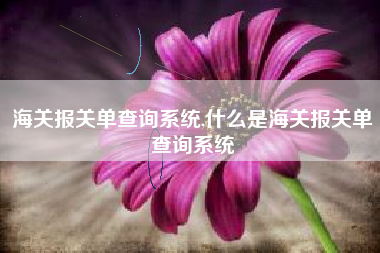 海关报关单查询系统,什么是海关报关单查询系统