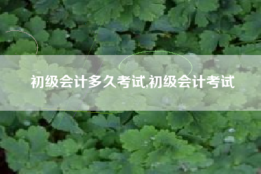 初级会计多久考试,初级会计考试