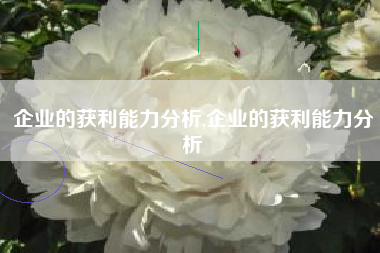 企业的获利能力分析,企业的获利能力分析