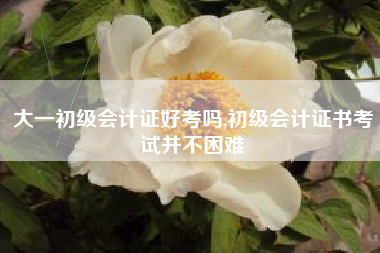 大一初级会计证好考吗,初级会计证书考试并不困难