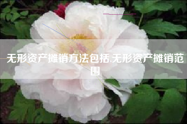 无形资产摊销方法包括,无形资产摊销范围