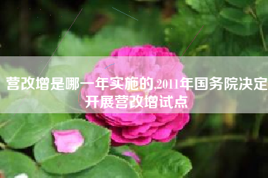 营改增是哪一年实施的,2011年国务院决定开展营改增试点
