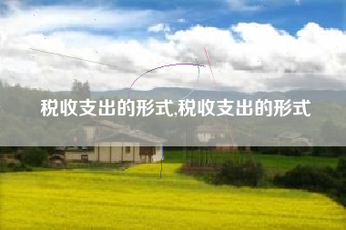 税收支出的形式,税收支出的形式