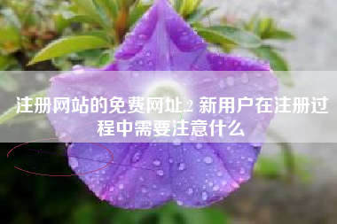 注册网站的免费网址,2 新用户在注册过程中需要注意什么