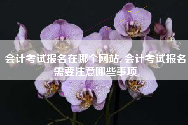 会计考试报名在哪个网站, 会计考试报名需要注意哪些事项