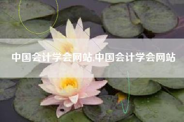 中国会计学会网站,中国会计学会网站