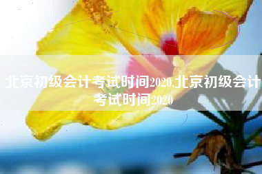北京初级会计考试时间2020,北京初级会计考试时间2020