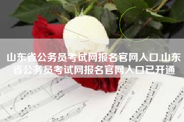 山东省公务员考试网报名官网入口,山东省公务员考试网报名官网入口已开通