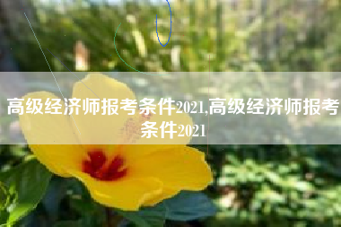 高级经济师报考条件2021,高级经济师报考条件2021