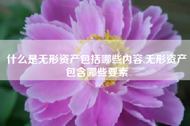 什么是无形资产包括哪些内容,无形资产包含哪些要素