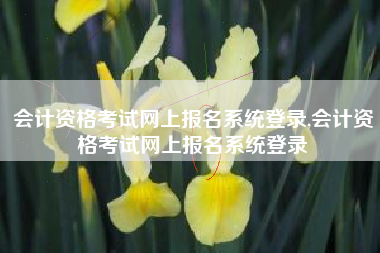 会计资格考试网上报名系统登录,会计资格考试网上报名系统登录