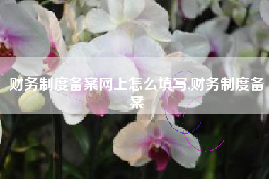 财务制度备案网上怎么填写,财务制度备案