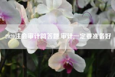 2020注会审计简答题,审计一定要准备好