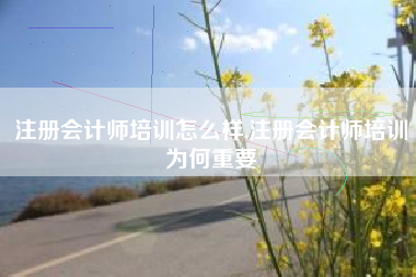 注册会计师培训怎么样,注册会计师培训为何重要