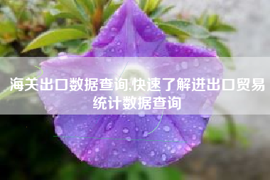 海关出口数据查询,快速了解进出口贸易统计数据查询