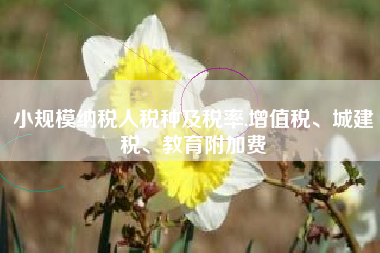 小规模纳税人税种及税率,增值税、城建税、教育附加费