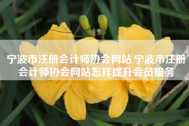 宁波市注册会计师协会网站,宁波市注册会计师协会网站怎样提升会员服务