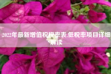 2022年最新增值税税率表,低税率项目详细解读